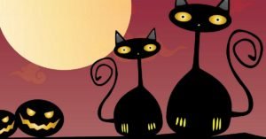 cats on halloween night