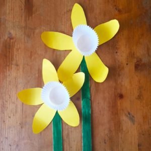 Daffodil Craft