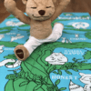 Meddy Teddy and His MAT