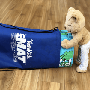 Meddy Teddy and His MAT and Bag