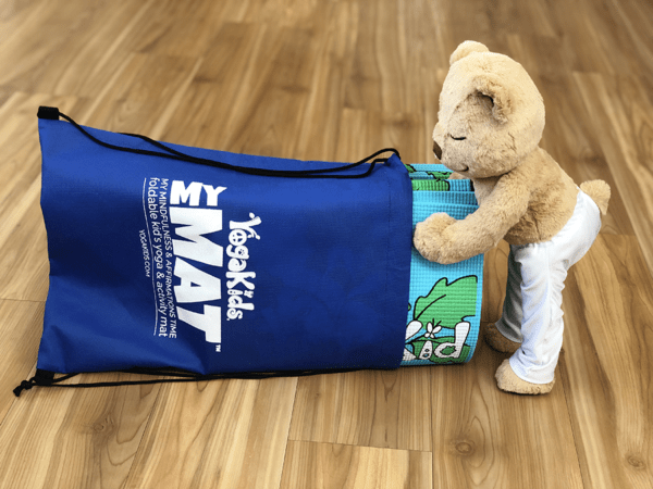 Meddy Teddy and His MAT and Bag