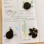 Exploring plate tectonics with Oreo cookies!